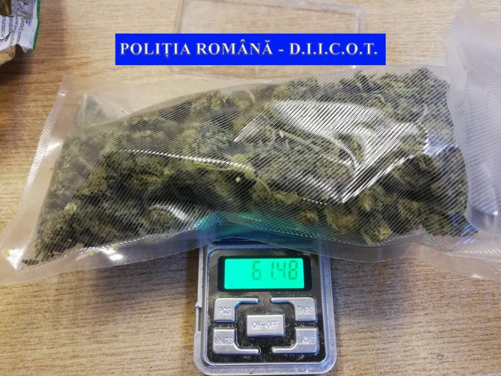 VIDEO. Cannabis, MDMA comprimate, amfetamină, ketamină confiscate în Iași