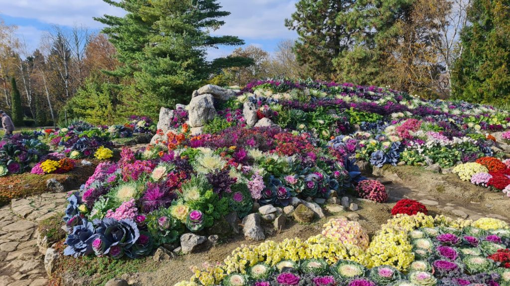 Grădina Botanică din Iași și-a deschis porțile doar pentru cei cu certificat verde