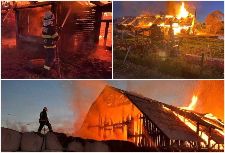 Incendiu devastator în judeţul Suceava. Un adăpost de animale s-a făcut scrum