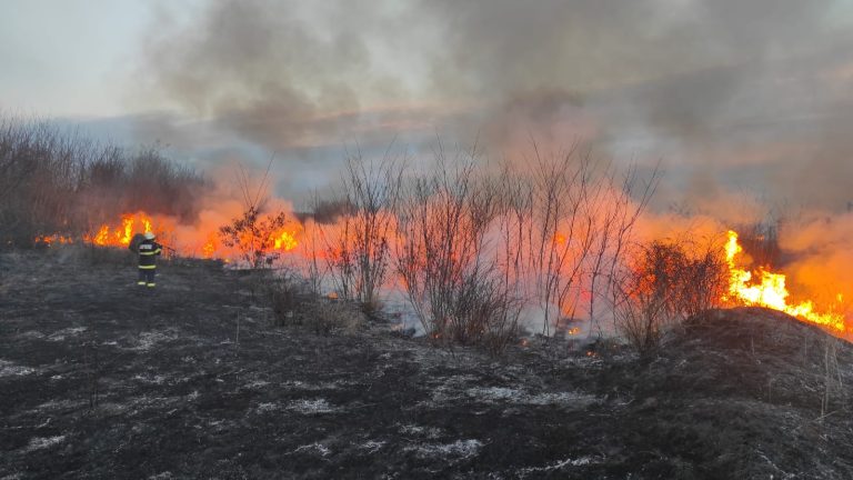 Vacanță de coșmar! O insulă din Grecia, unde care erau și români, a fost evacuată din cauza flăcărilor