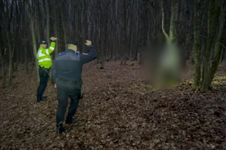 Vânător de comori, martor la scene de groază într-o pădure din Bistriţa-Năsăud. Descoperirea macabră l-a lăsat fără cuvinte