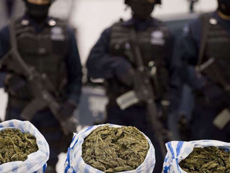 Iaşul, invadat de droguri. Încă o captură de 100 de kilograme de marihuana.