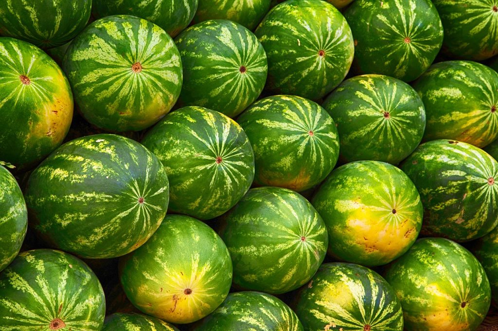 Piețele s-au umplut de toate soiurile de pepeni. Cum recunoaștem un pepene verde copt?