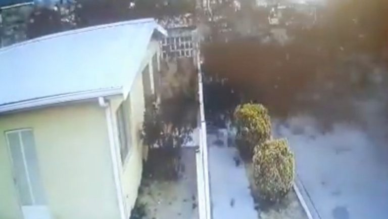 Imagini neobișnuite în Mexic. Momentul în care un stol de păsări se prăbușește brusc la pământ