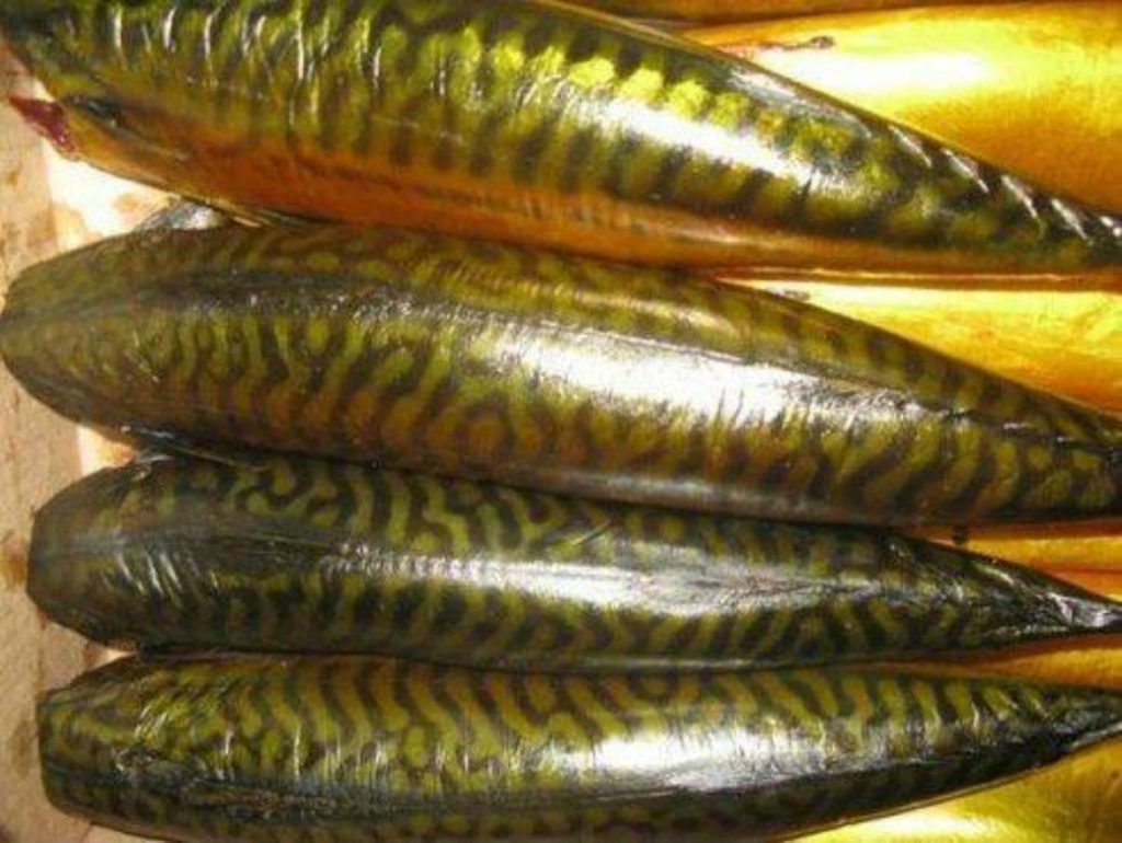 Au fost descoperite 250 de kilograme de macrou afumat . Produsele alimentare erau contaminate cu Listeria