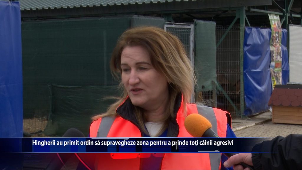 Hingherii au primit ordin sa supravegheze zona pentru a prinde toti cainii agresivi