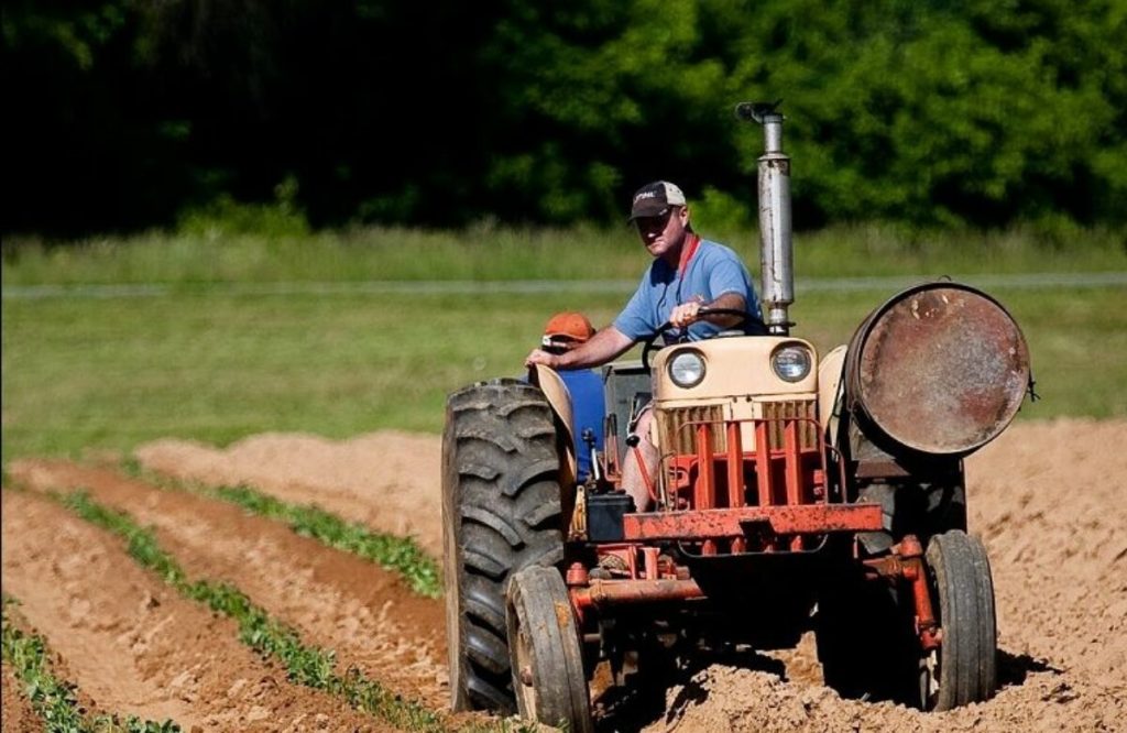 A fost promulgată legea prin care salariul de bază minim brut în domeniul agricol va fi de minimum 3.000 lei lunar
