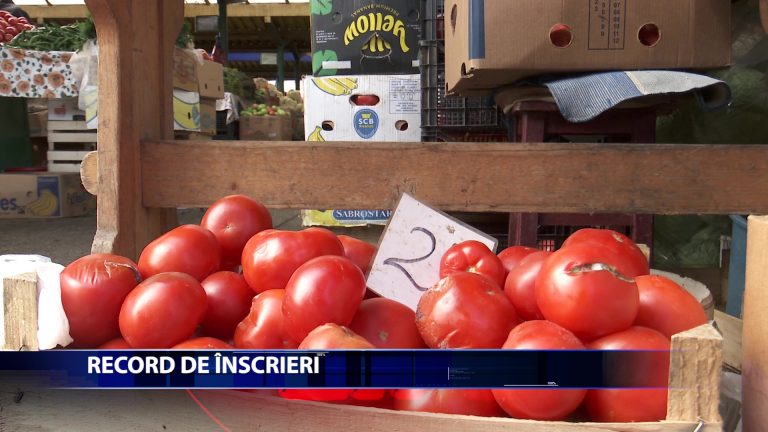 Peste 250 de producatori de rosii din judet vor primi cate 3.000 de euro ajutor de minimis