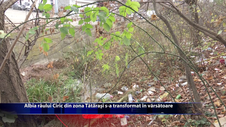 Albia raului Ciric din zona Tatarasi s-a transformat in varsatoare