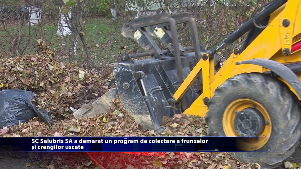 SC Salubris SA a demarat un program de colectare a frunzelor si crengilor uscate
