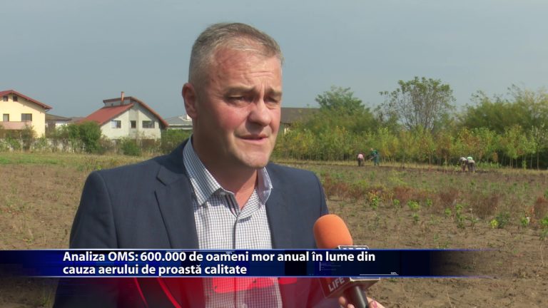 Analiza OMS: 600.000 oameni mor anual in lume din cauza aerului de proasta calitate