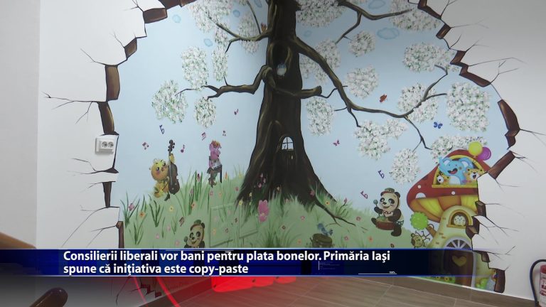 Consilierii liberali vor bani pentru plata. bonelor. Primaria Iasi spune ca initiativa este copy-paste