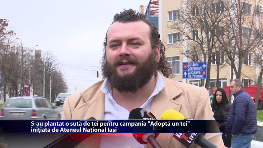 S-au plantat o suta de tei pentru campania ”Adopta un tei” initiata de Ateneul National Iasi