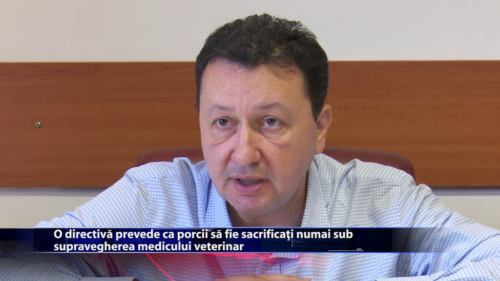 O directiva prevede ca porcii sa fie sacrificati numai sub supravegherea medicului veterinar