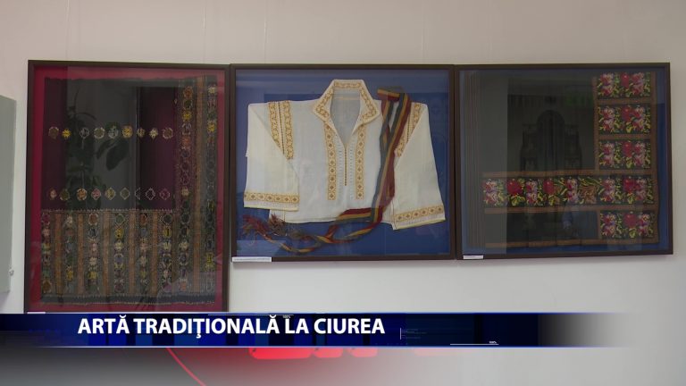 Centrul Cultural din Ciurea gazduieste expozitia permanenta semnata de Cela Neamtu
