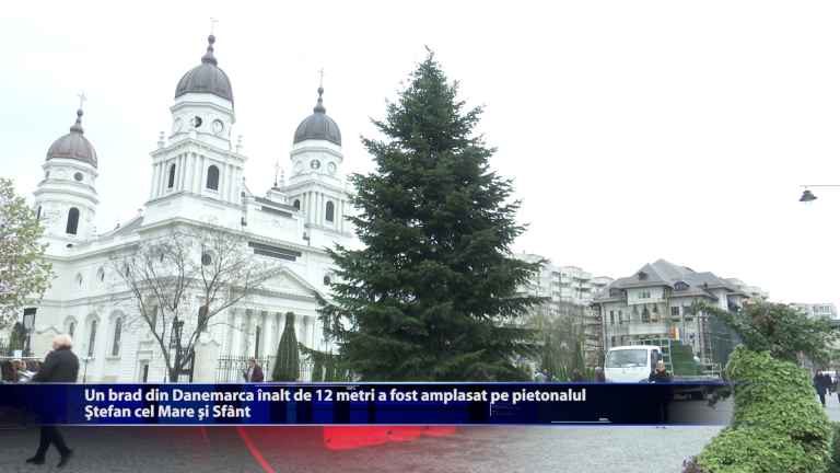 Un brad din Danemarca inalt de 12 metri a fost amplasat pe pietonalul Stefan ce Mare si Sfant