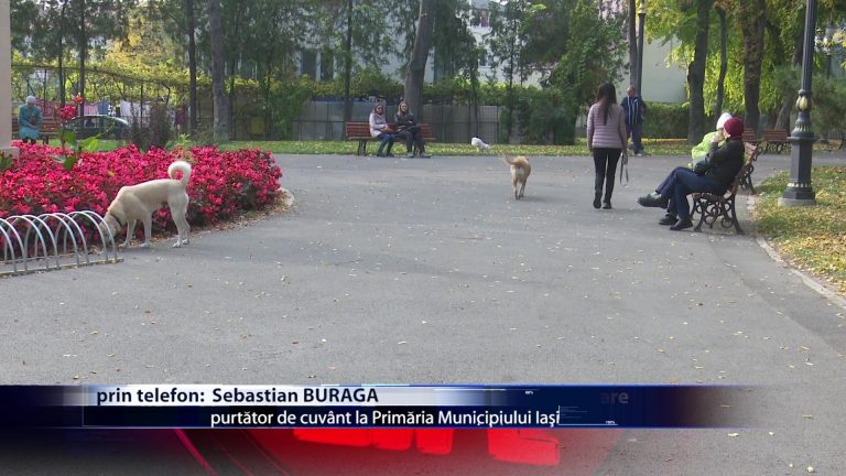 Persoanele care au caini in apartament trebuie sa ii declare la asociatie