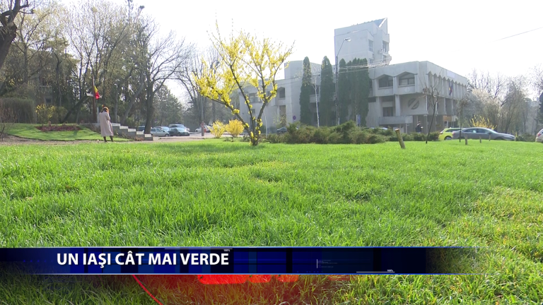 Ampla campanie de inverzire a orasului desfasurata de SC Servicii Publice