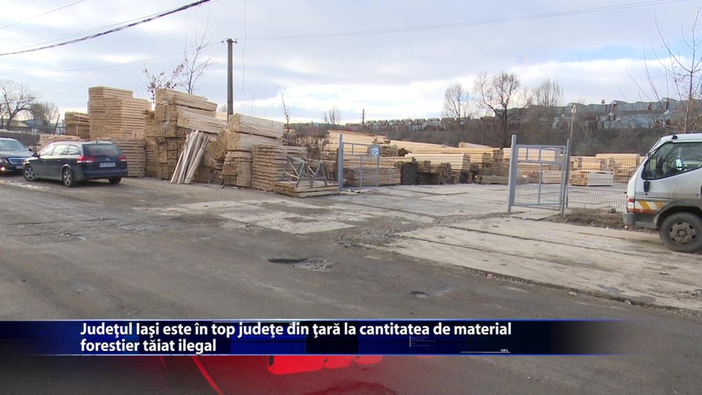Judetul Iasi este in top 10 judete din tara la cantitatea de material forestier taiat ilegal