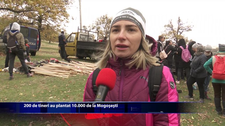 200 de tineri au plantat de copaci la Mogosesti