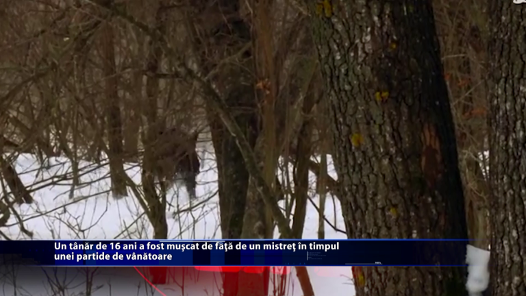 Un tanar de 16 ani a fost muscat de fata de un mistert, in timpul unei partide de vanatoare