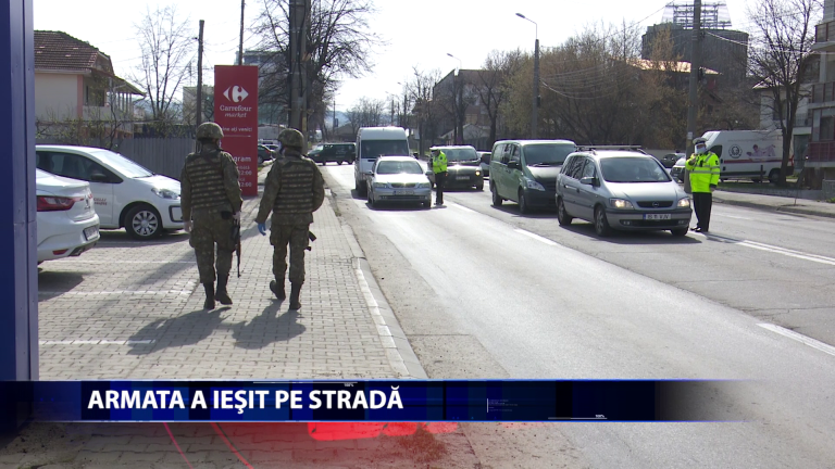 Armata contribuie la punerea in practica a deciziilor luate la nivel national