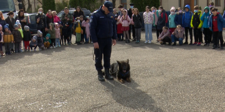 VIDEO! Ziua Jandarmeriei Române la Iași! Exerciţii demonstrative cu câinii de serviciu pentru copiii din Iași