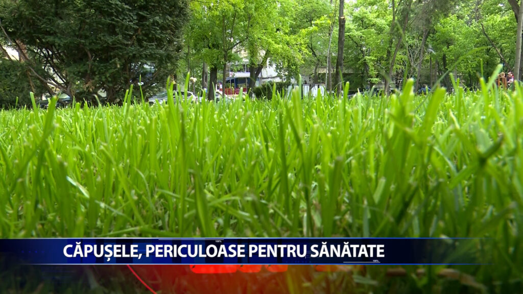 CAPUSELE, PERICULOASE PENTRU SANATATE