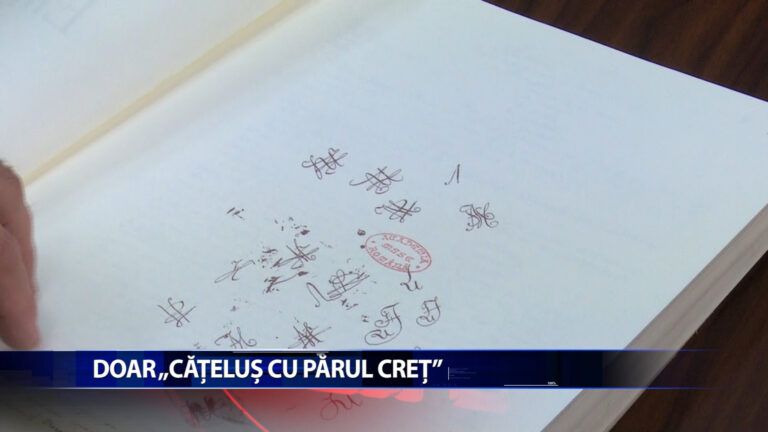 DOAR „CATELUS CU PARUL CRET”