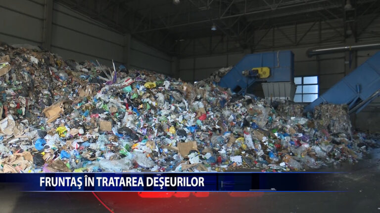 FRUNTAS IN TRATAREA DESEURILOR