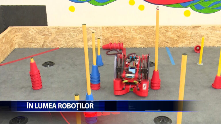 IN LUMEA ROBOTILOR