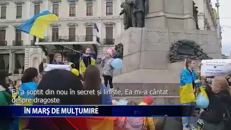 IN MARS DE MULTUMIRE