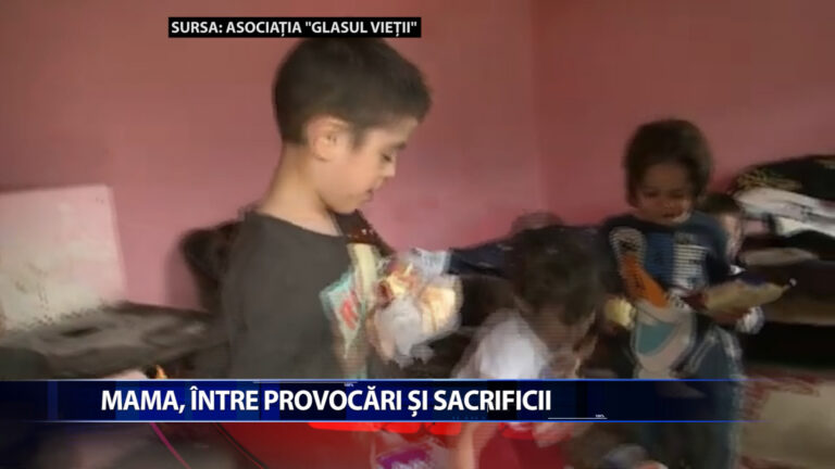 MAMA, INTRE PROVOCARI SI SACRIFICII