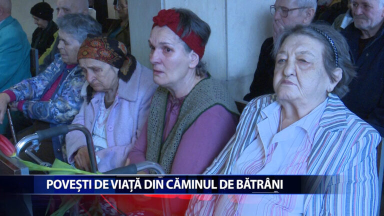 POVESTI DE VIATA DIN CAMINUL DE BATRANI