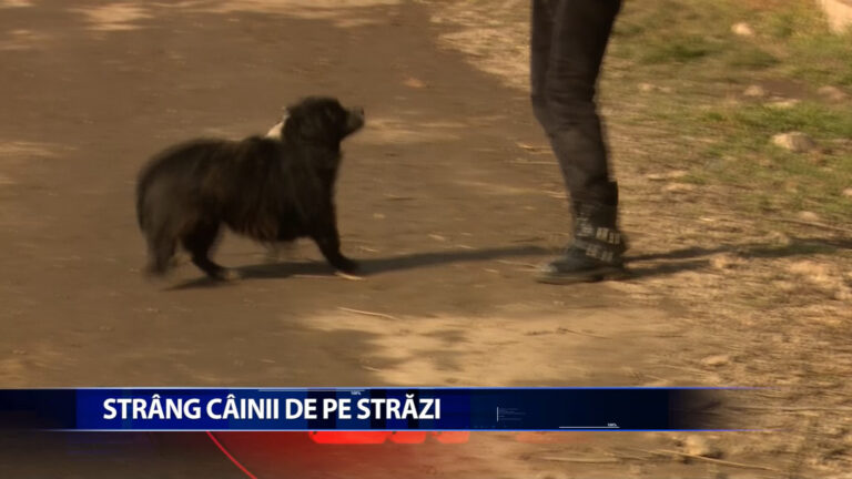 STRANG CAINII DE PE STRAZI