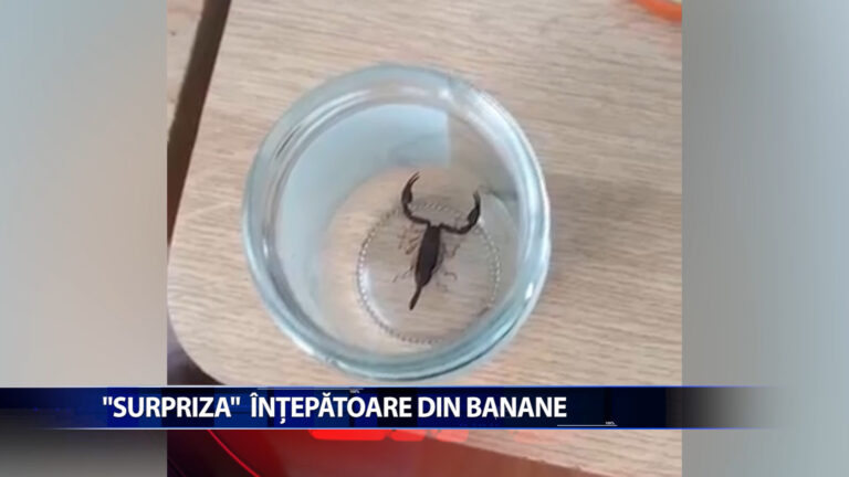 „SURPRIZA” INTEPATOARE DIN BANANE