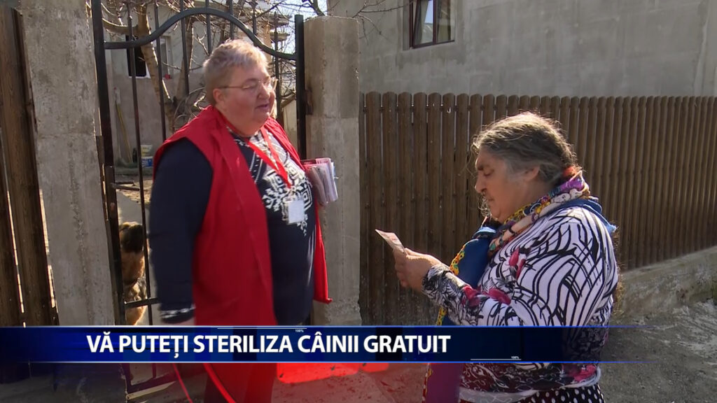 VA PUTETI STERILIZA CAINII GRATUIT