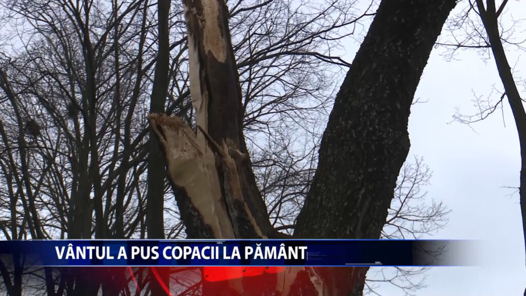 VANTUL A PUS COPACII LA PAMANT