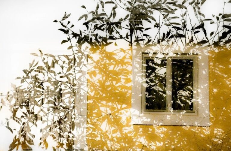 Expozitie de fotografie a artistei Oana Daian la Casa de Cultura „Mihai Ursachi”