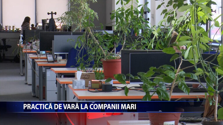 PRACTICA DE VARA LA COMPANII MARI
