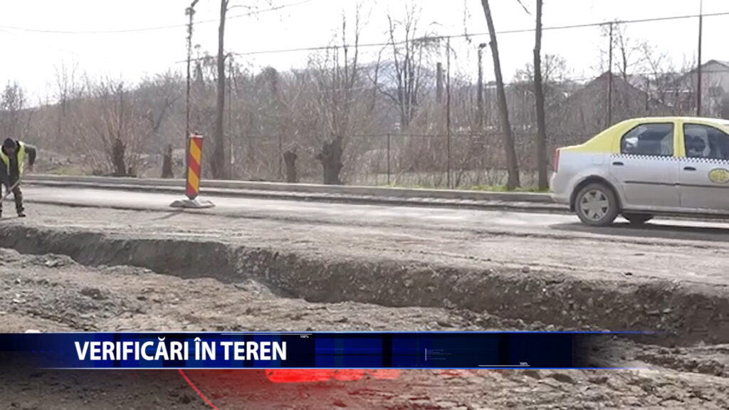 VERIFICARI IN TEREN
