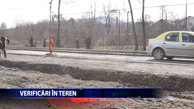 VERIFICARI IN TEREN