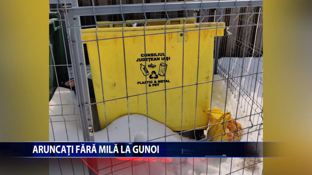 ARUNCATI FARA MILA LA GUNOI!
