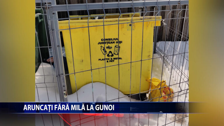 ARUNCATI FARA MILA LA GUNOI!