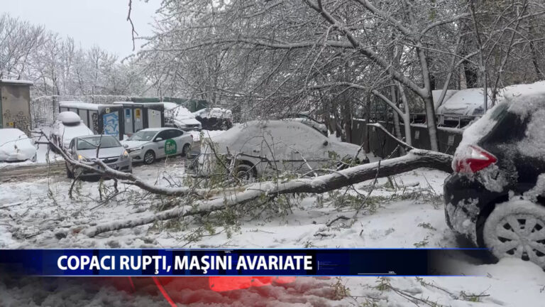 COPACI RUPTI, MASINI AVARIATE