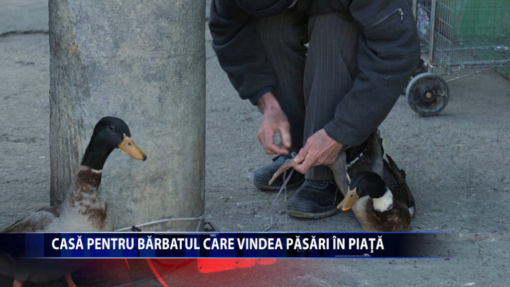 Casa pentru barbatul care vindea pasari in piata