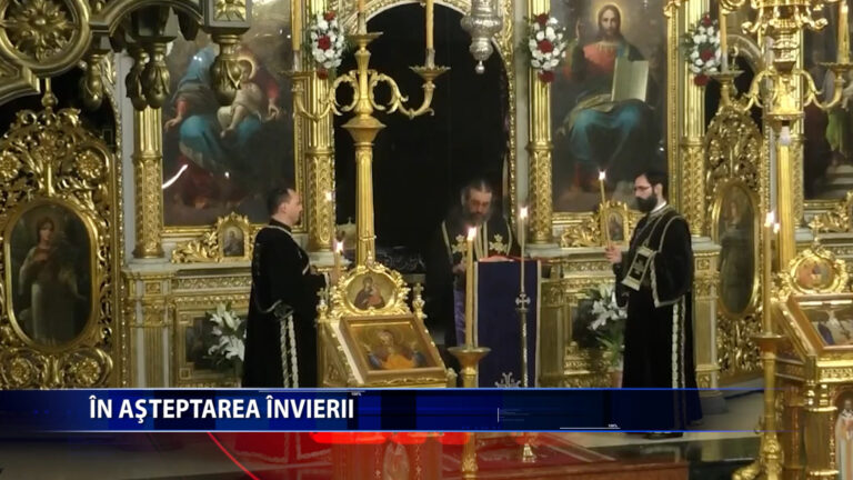 IN ASTEPTAREA INVIERII