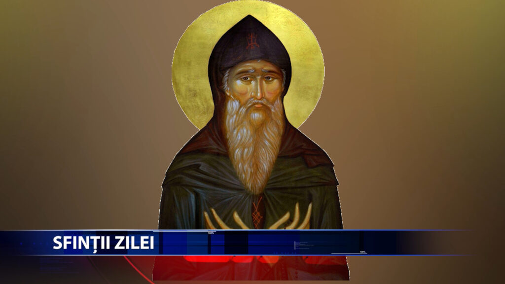 Sfintii zilei