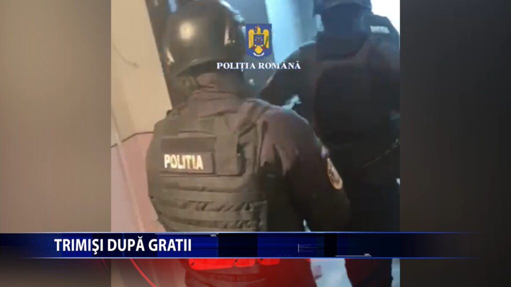TRIMISI DUPA GRATII