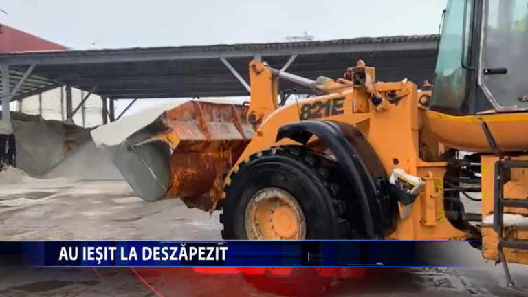Au iesit la deszapezit